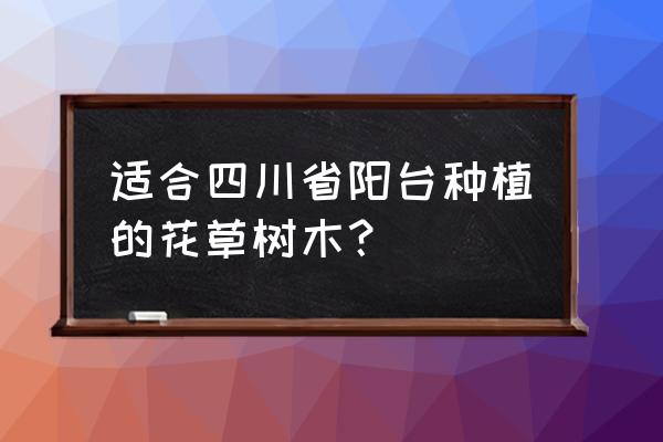 四川气候适合养什么盆栽 适合四川省阳台种植的花草树木？