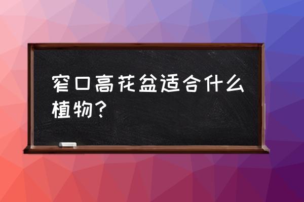 窄口花盆适合种什么蔬菜瓜果 窄口高花盆适合什么植物？