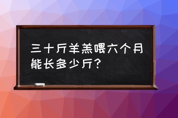 给羊吃饲料一个月能长多少斤 三十斤羊羔喂六个月能长多少斤？