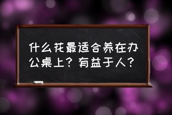 办公桌上能放兰花吗 什么花最适合养在办公桌上？有益于人？