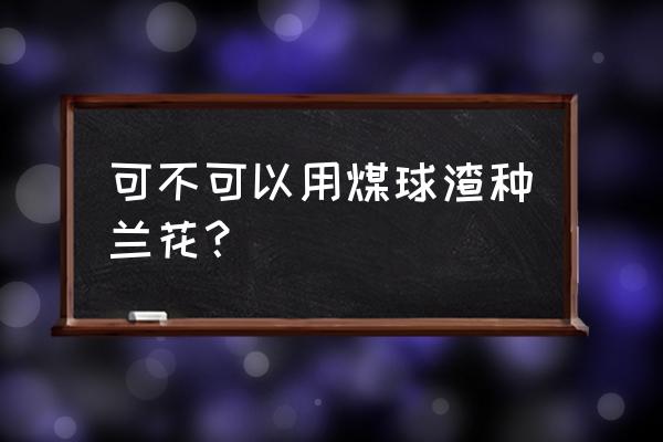 煤渣养兰花究竟好不好 可不可以用煤球渣种兰花？