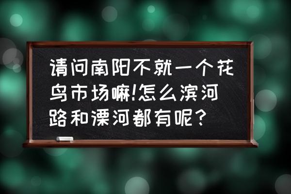 南阳观赏鱼批发市场在哪里 请问南阳不就一个花鸟市场嘛!怎么滨河路和溧河都有呢？