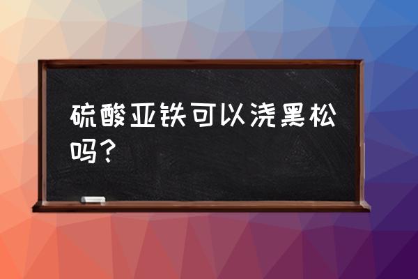 黑松盆景用什么肥 硫酸亚铁可以浇黑松吗？