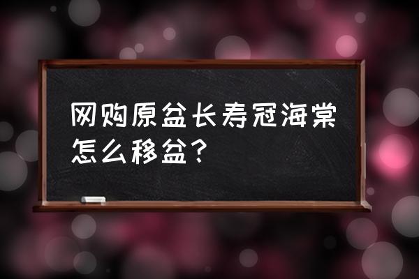 长寿冠海棠花什么时候移栽 网购原盆长寿冠海棠怎么移盆？