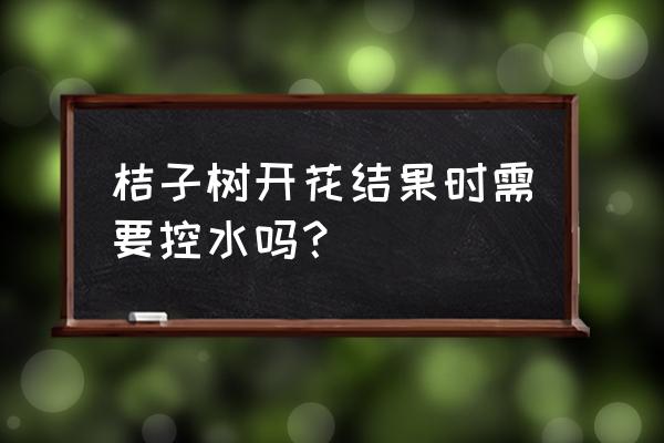 盆栽小橘子树挂果期间怎么养 桔子树开花结果时需要控水吗？