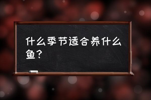 秋季适合养什么水产 什么季节适合养什么鱼？