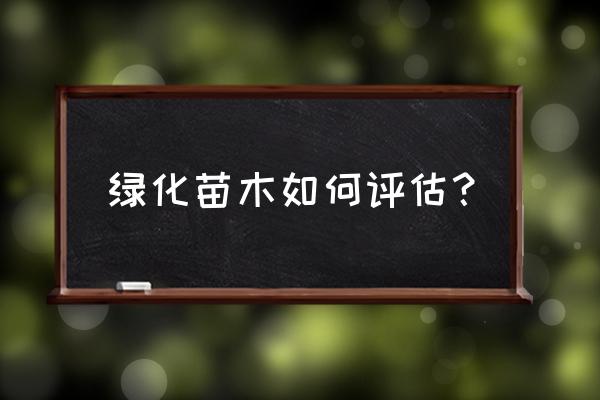 小区园林景观后评估怎么写 绿化苗木如何评估？