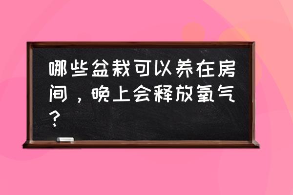 哪些盆栽好养净化空气晚上可以放 哪些盆栽可以养在房间，晚上会释放氧气？