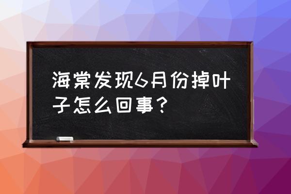 四季海棠花掉叶子怎么办 海棠发现6月份掉叶子怎么回事？