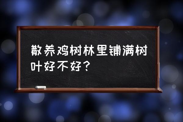 桂花树地养鸡好不好 散养鸡树林里铺满树叶好不好？