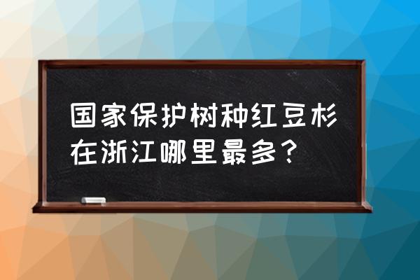 红豆杉木头哪里有 国家保护树种红豆杉在浙江哪里最多？