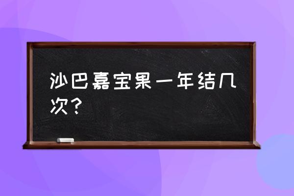 嘉宝果树沙巴一年结几多次果 沙巴嘉宝果一年结几次？