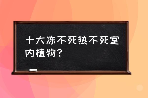 哪种室内植物耐寒 十大冻不死热不死室内植物？