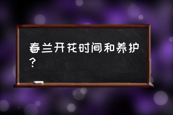 春兰花几月开 春兰开花时间和养护？