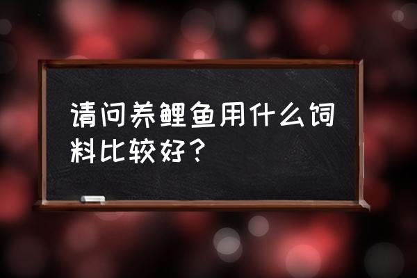 养殖鲤鱼什么饲料好 请问养鲤鱼用什么饲料比较好？