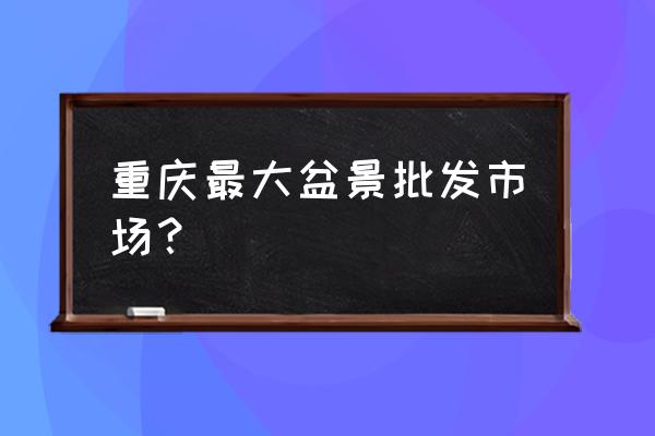 重庆二手花盆哪里有卖 重庆最大盆景批发市场？