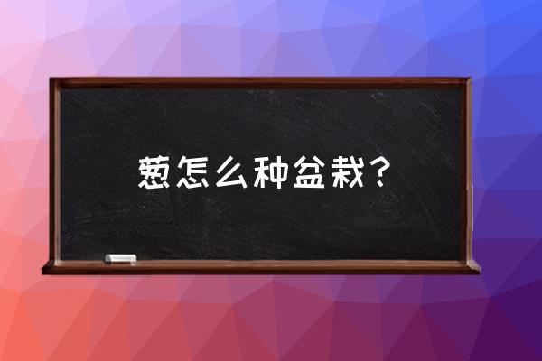 盆栽香葱怎么种植 葱怎么种盆栽？