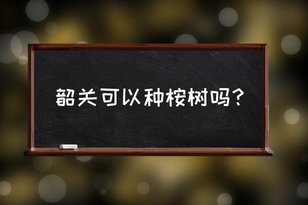 韶关哪里有做桉木胶合板的 韶关可以种桉树吗？