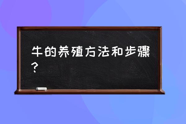 养牛怎么的方法 牛的养殖方法和步骤？