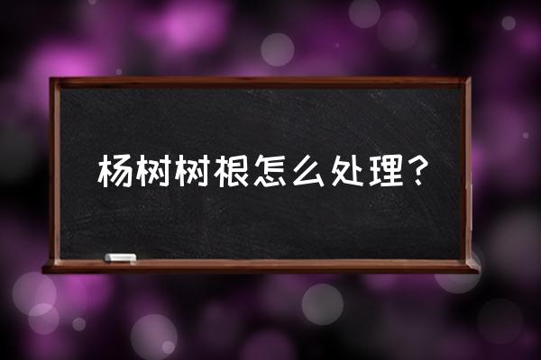 杨树根用什么除草剂 杨树树根怎么处理？