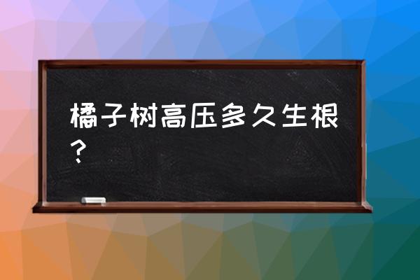 果树压条多长时间生根 橘子树高压多久生根？