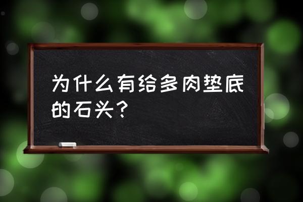 为什么花盆底部放石头 为什么有给多肉垫底的石头？