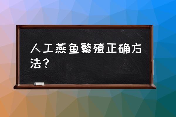 七台河有没有繁殖燕鱼的 人工燕鱼繁殖正确方法？