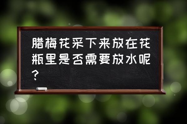 梅花插花放水吗 腊梅花采下来放在花瓶里是否需要放水呢？