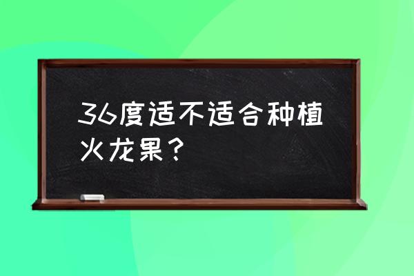 火龙果树怕热吗 36度适不适合种植火龙果？