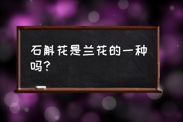 铁皮石解开兰花吗 石斛花是兰花的一种吗？