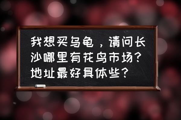 长沙有几个园林景观市场 我想买乌龟，请问长沙哪里有花鸟市场？地址最好具体些？