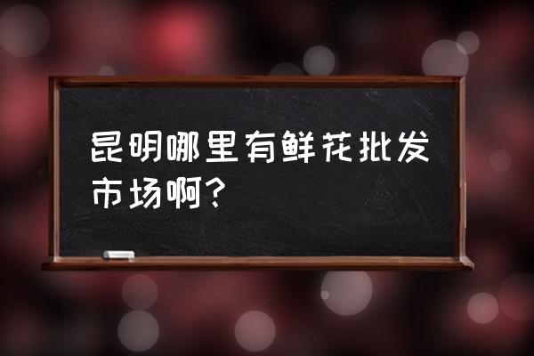 九零玫瑰昆明哪里有 昆明哪里有鲜花批发市场啊？