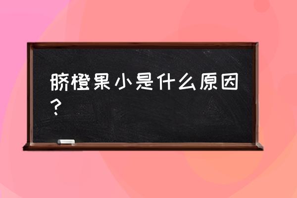 成年脐橙果树结果少是什么原因 脐橙果小是什么原因？