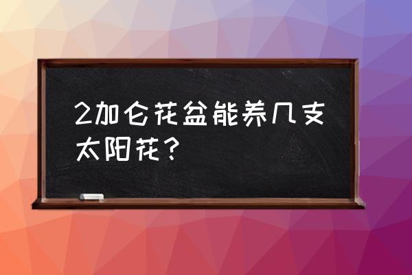 太阳花每盆栽几棵 2加仑花盆能养几支太阳花？