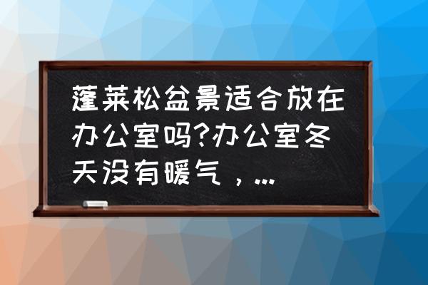 办公室能放松树盆景吗 蓬莱松盆景适合放在办公室吗?办公室冬天没有暖气，没有阳光？