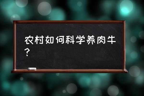 怎样规范科学的养牛 农村如何科学养肉牛？