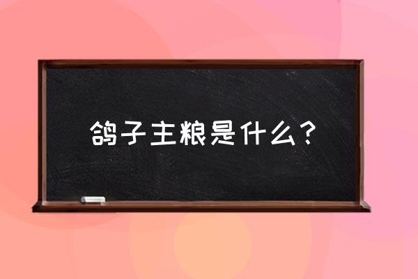 肉鸽饲料有哪些 鸽子主粮是什么？