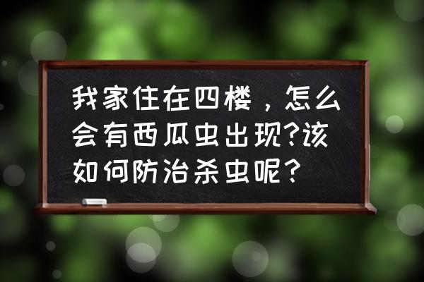 杀虫剂能消灭西瓜虫吗 我家住在四楼，怎么会有西瓜虫出现?该如何防治杀虫呢？