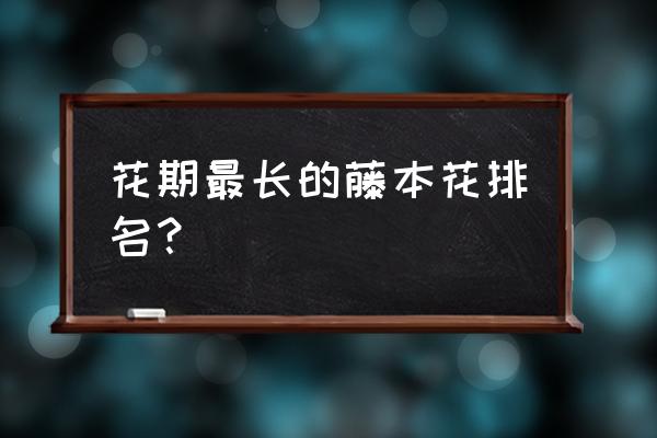 藤本植物开花的有哪些 花期最长的藤本花排名？