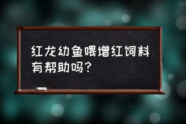 仟湖的增红饲料怎么样 红龙幼鱼喂增红饲料有帮助吗？