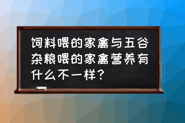 饲料鸡和粮食鸡的营养一样吗 饲料喂的家禽与五谷杂粮喂的家禽营养有什么不一样？