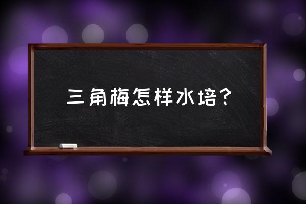 三角梅有没有水培技术 三角梅怎样水培？