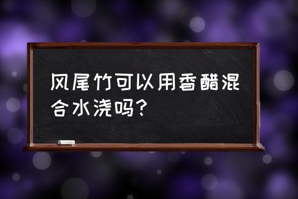 请问水培植物放一点醋是什么意思 风尾竹可以用香醋混合水浇吗？