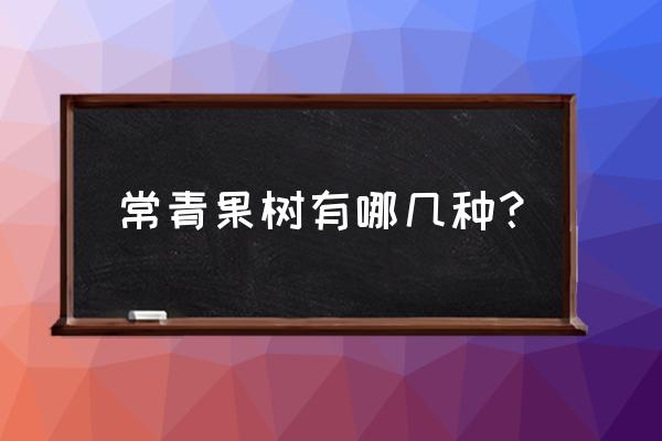 哪些果树是常青果树苗 常青果树有哪几种？