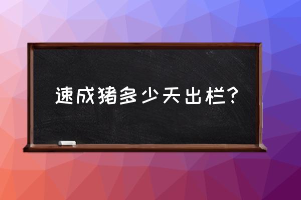 快速养猪法几个月出栏 速成猪多少天出栏？