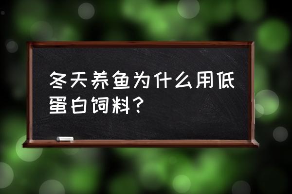 什么才是低蛋白饲料 冬天养鱼为什么用低蛋白饲料？