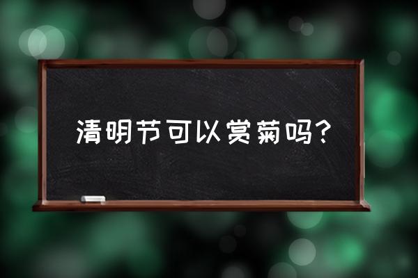 北方菊花可以在清明节开放吗 清明节可以赏菊吗？