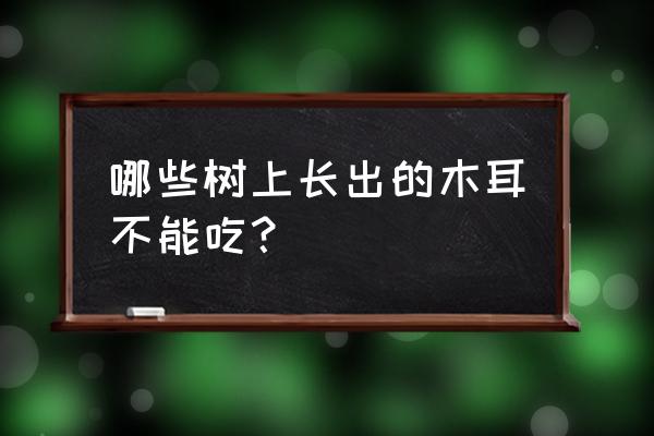 什么木头上面的木耳不能吃 哪些树上长出的木耳不能吃？