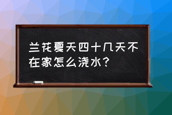 夏天室内兰花怎么浇水 兰花夏天四十几天不在家怎么浇水？