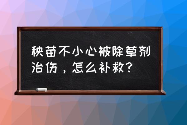 树苗误打了除草剂怎么办 秧苗不小心被除草剂治伤，怎么补救？